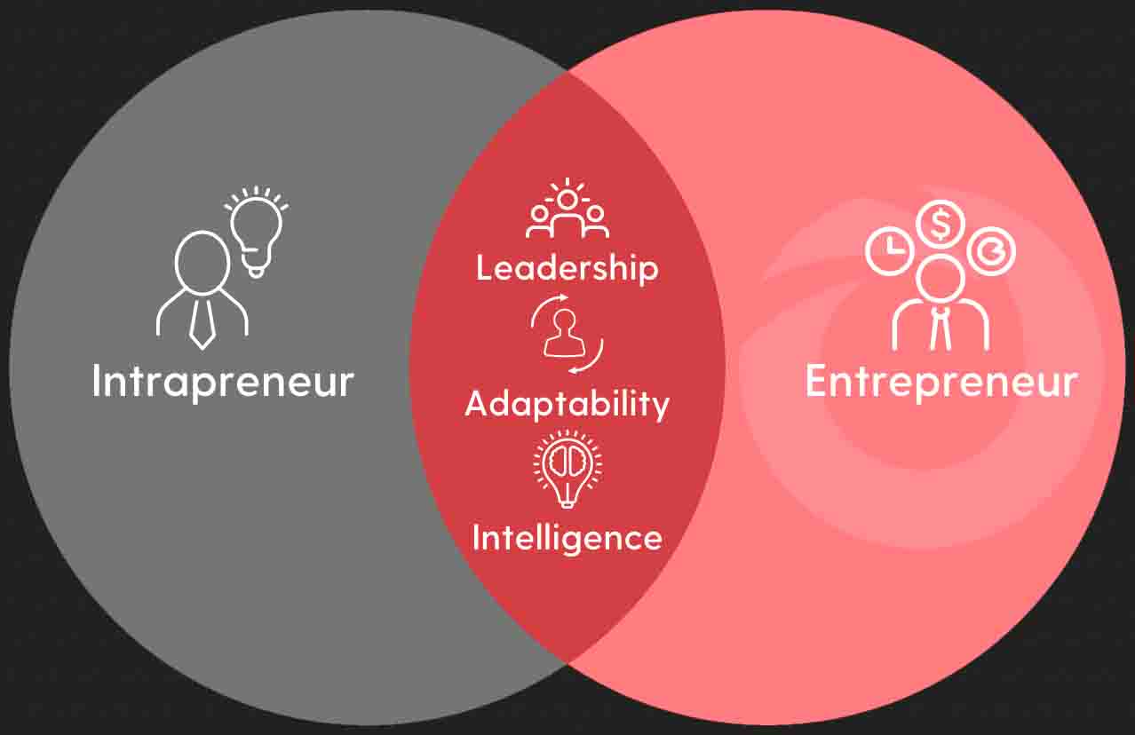 Similarities between Intrapreneurs and Entrepreneurs Nitor Infotech