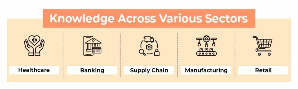 Role of Domain Knowledge Across Various Sectors